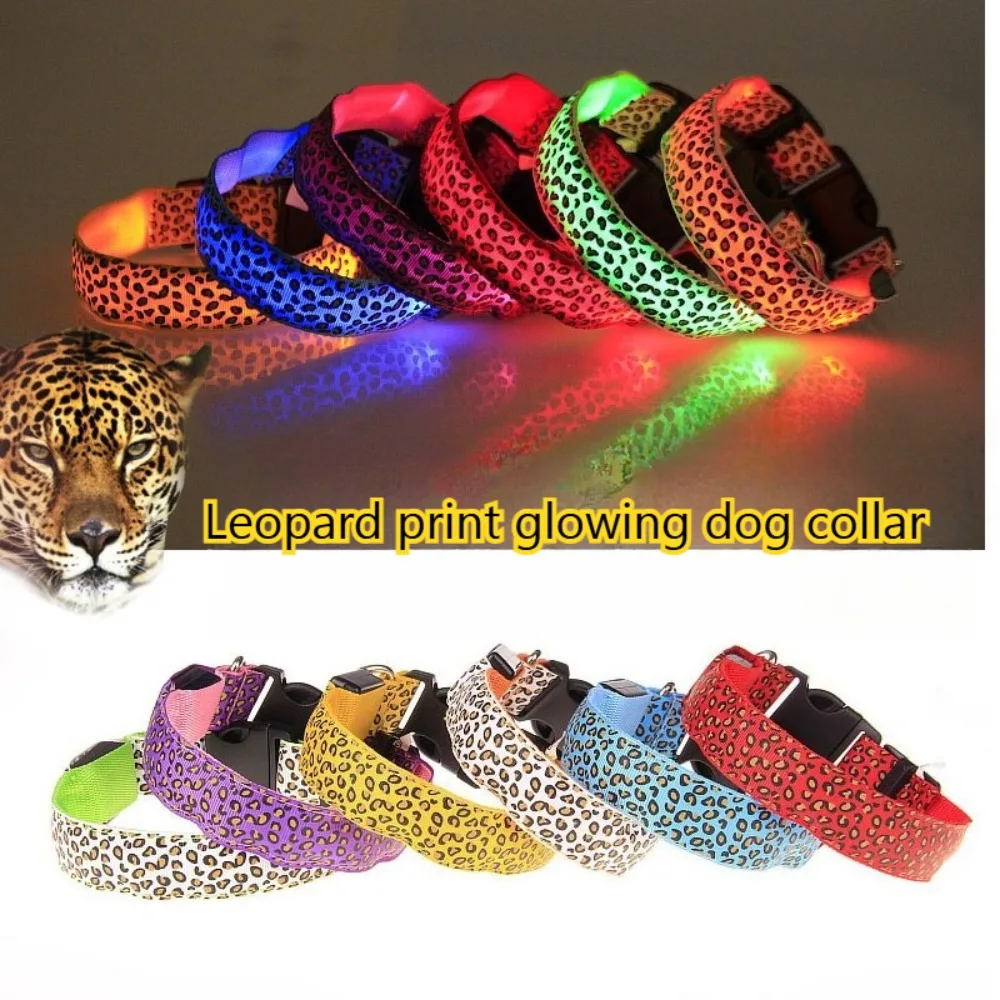 Collier antidérapant avec lumière LED