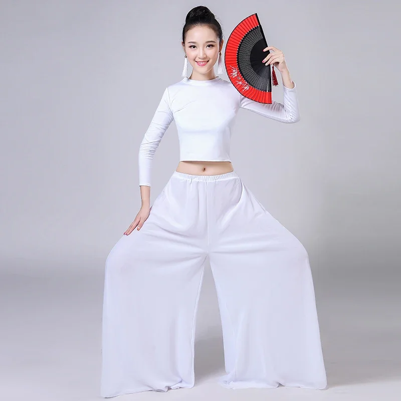 Klassische Yangko-Tanz-Übungskleidung, weiblich, Erwachsene, elegant, alte Taille, Trommel, Square Dance, Folk-Festival, Tänzerin-Kleidung