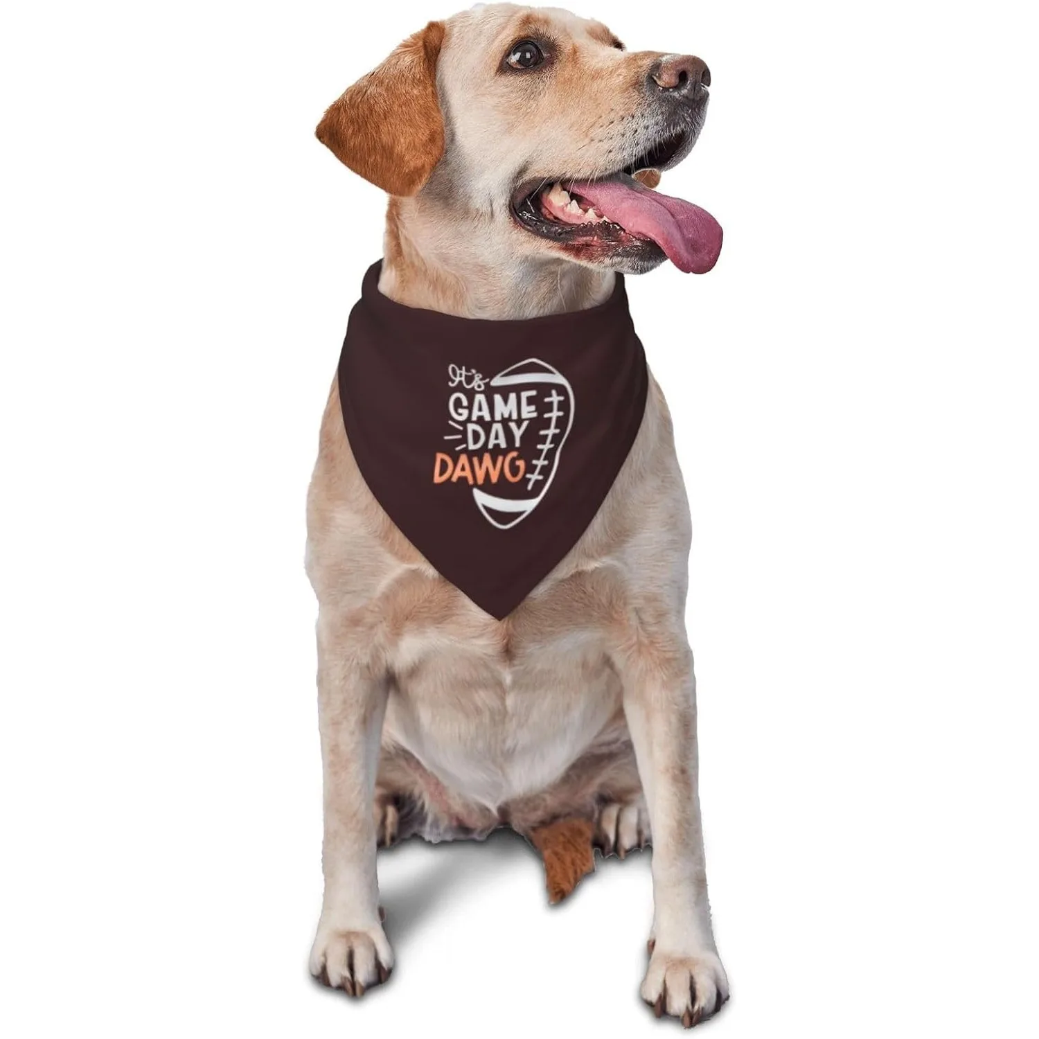 Game Day Football Bandana Reversible Fall Pet Scarf for Dog Photo Prop Owner
