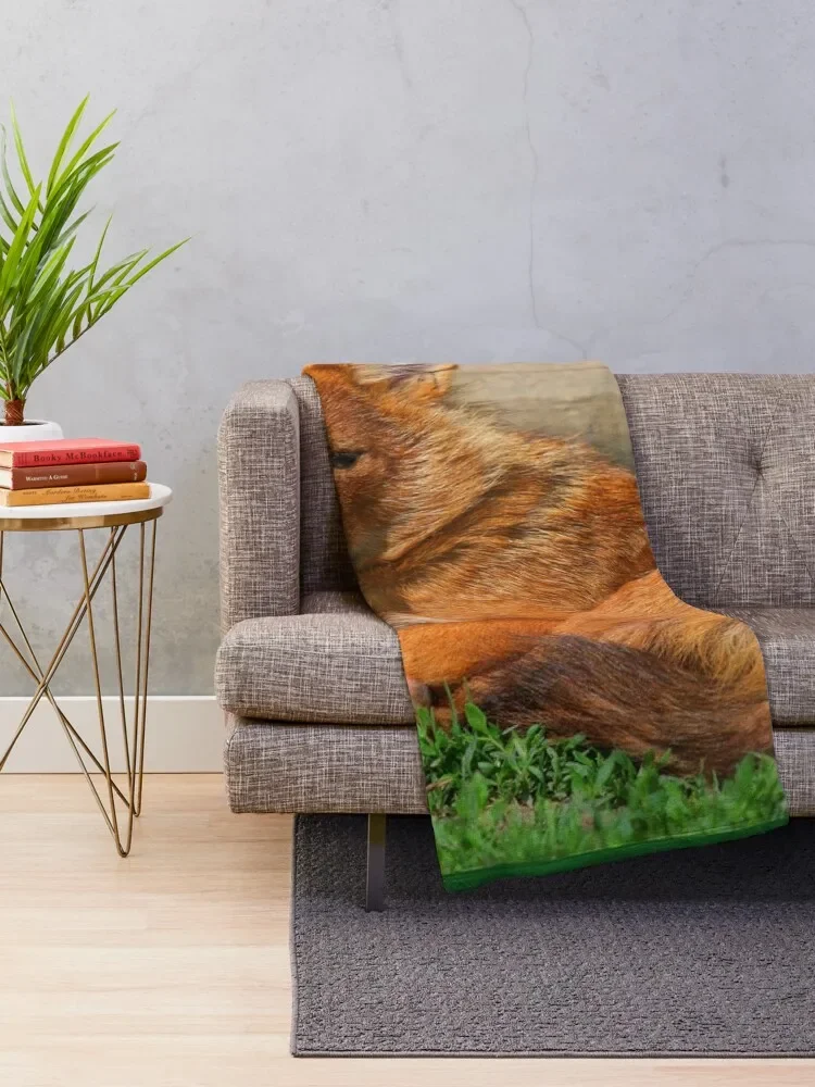 Dhole Daze Throw Blanket Giant Sofa Hair Flannels Summer Beddings Blankets