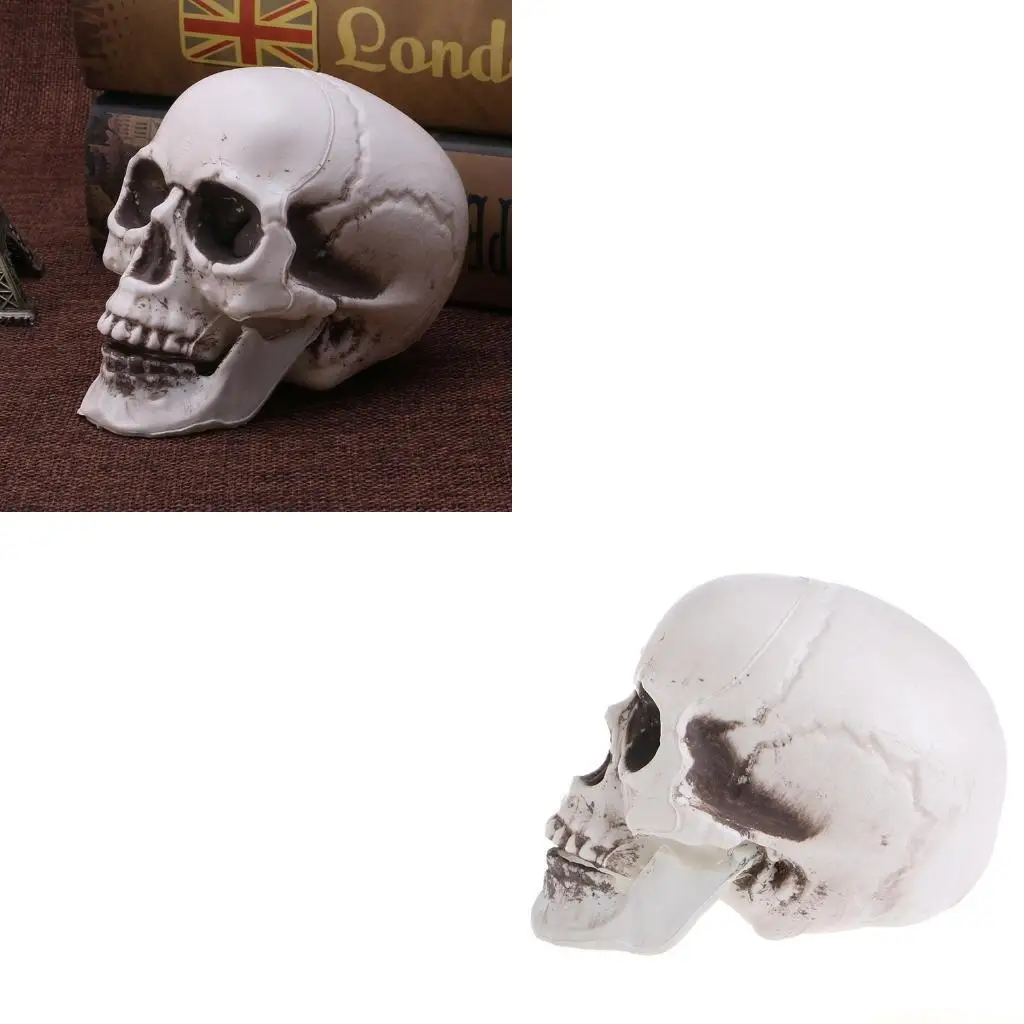 

Пластиковый человеческий мини-череп Декор Опора Скелет для головы Хэллоуин Кофе-бары Орна