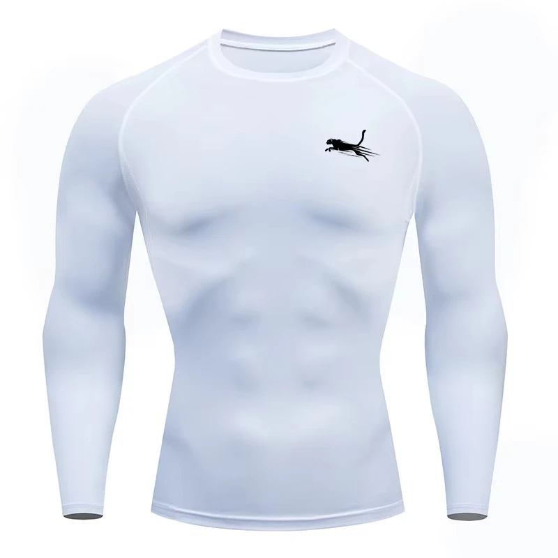 Men's Long Sleeves Fitness T-shirt Dry Fit Gym T-shirt Sportswear Outdoor Sports Running Tees Tops For Men
