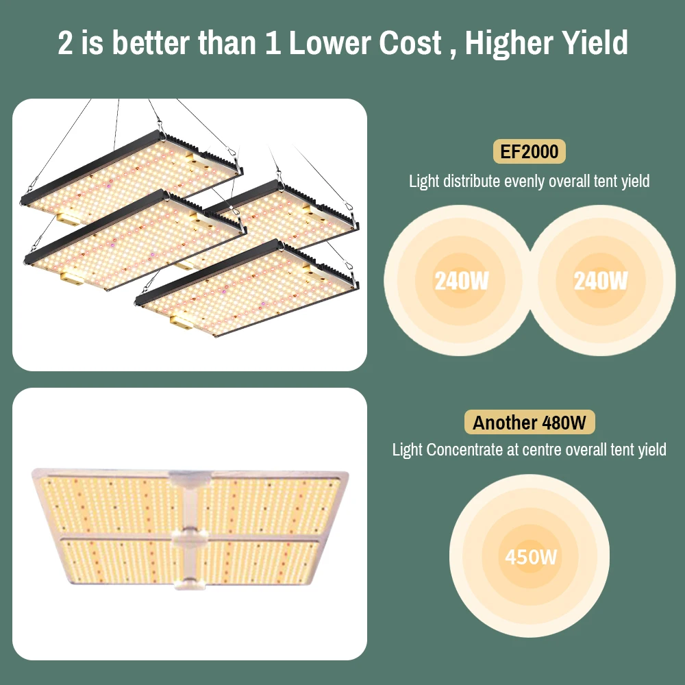 Imagem -04 - Ações Brasileiras 240watt Led Crescer Luz Estufa Quantum Sementes para Plantas Lm301b Lâmpada Flores Interior Espectro Completo