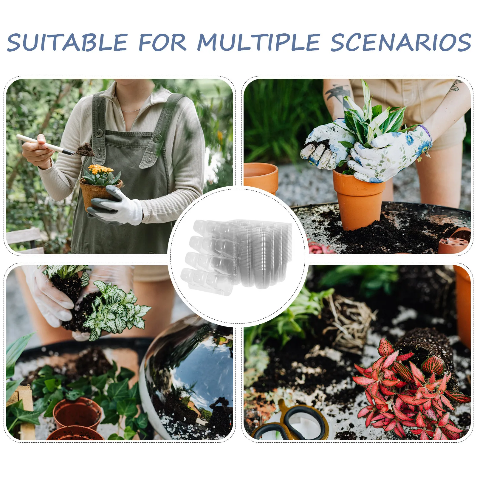 30Pcs Clear Plastic Seedling Starter Trays Drainage Holes Germination Tray Indoor Flower Vegetable Plant Nursery Growing Trays