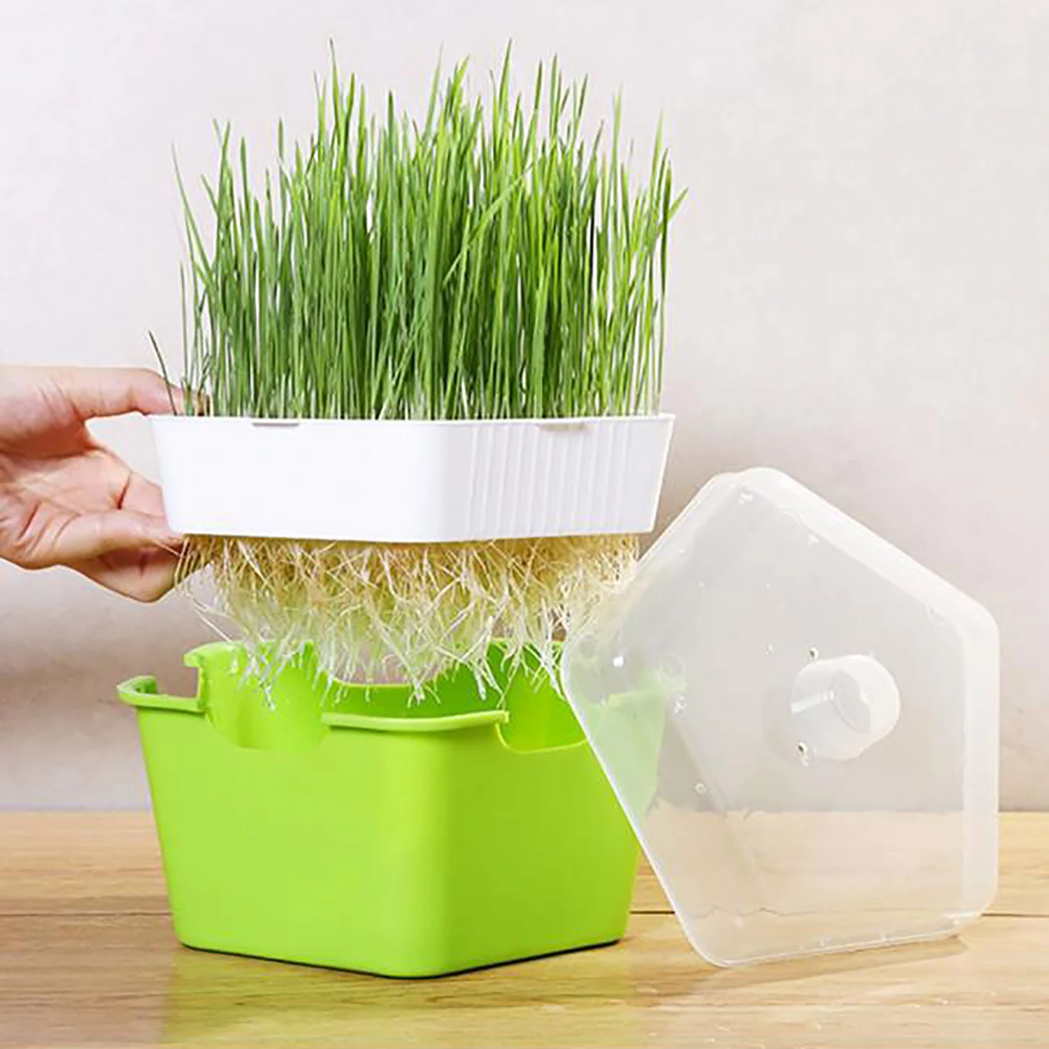 

Sprouts Seedling Tray Breeding Box Cat Grass Planting Box Hydroponic Flower Basket Sprouts Planting Box Hydroponic Set