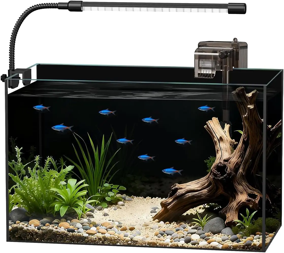 

5 Gallon Glass Aquarium Starter Kit For Betta Goldfish Small Fish Shrimp With Filter Lights Lid