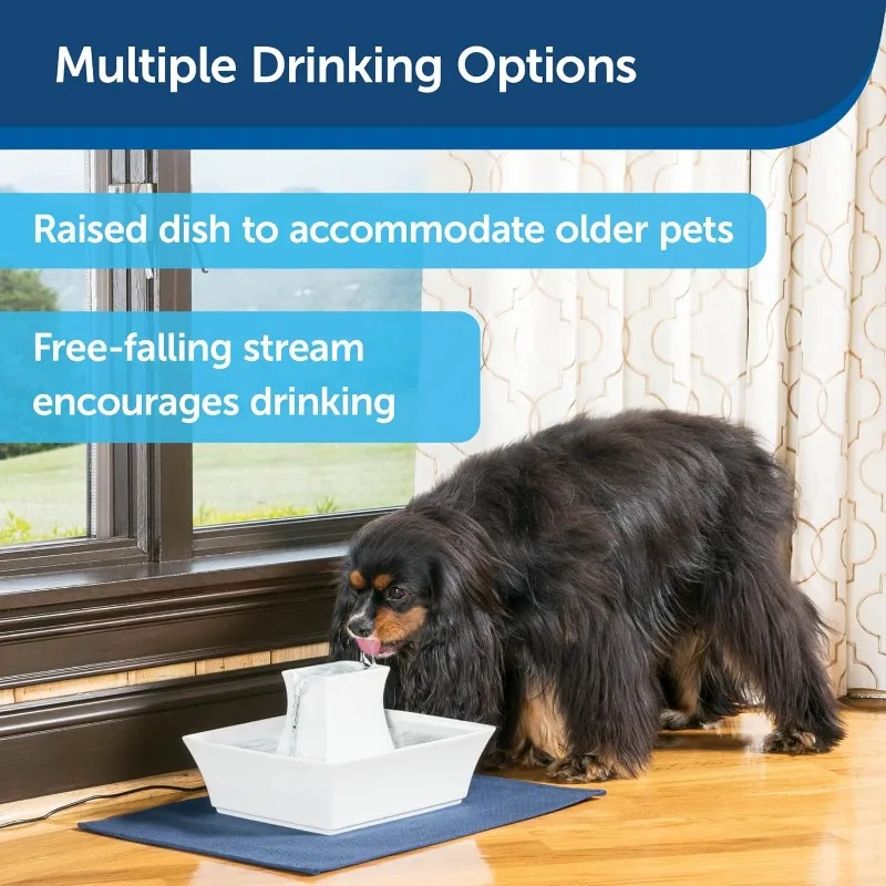 نافورة مياه من السيراميك للقطط والكلاب من PetSafe Drinkwell Pagoda، سعة 70 أونصة، تشجع الترطيب، تصميم وعاء مفتوح، أبيض