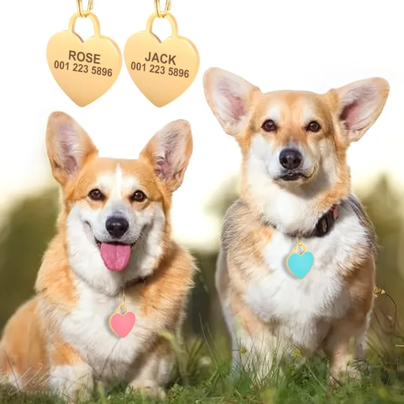 Personalisiertes Hunde-ID-Tag, niedliche Herzform, für Kätzchen und Welpen, graviertes Namensschild, Anhänger, Anti-Verlust, für Hunde, Katzen, Haustierzubehör – Detail 4