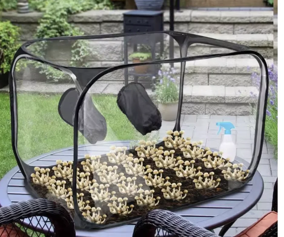 أكياس نمو الفطر لا يزال صندوق الهواء محطات انتشار خيمة الفطر المحمولة طوي الفطر تنمو حقيبة للفطريات الصالحة للأكل R2L1 #4