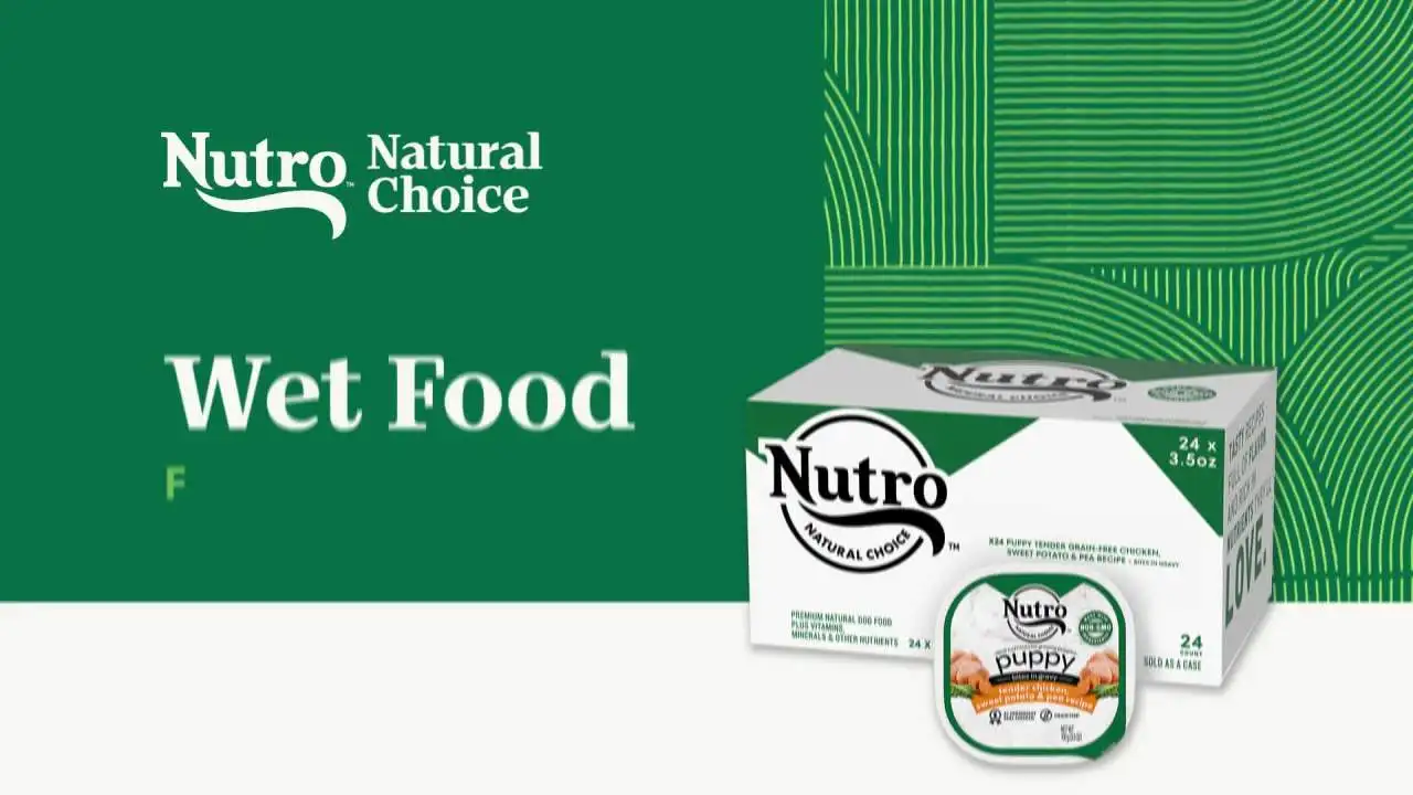 Nutro Natural Choice Cuts in sugo di agnello e manzo Confezione di varietà di cibo umido per cani, vassoio da 3,5 Oz, confezione da 12