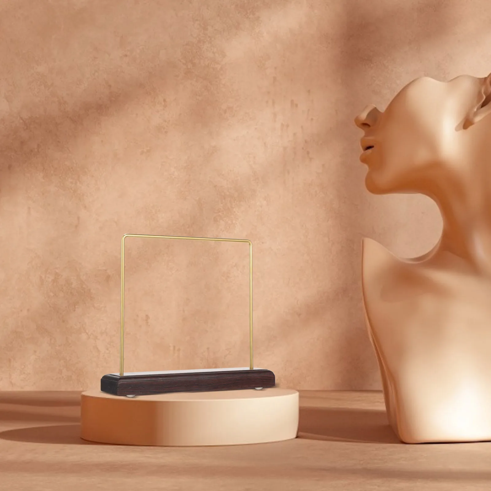 

1Pcs Practical Jewelry Organizer Rack Deform Resistant Compact Design Earring Necklace Display Stand Jewelry Rack