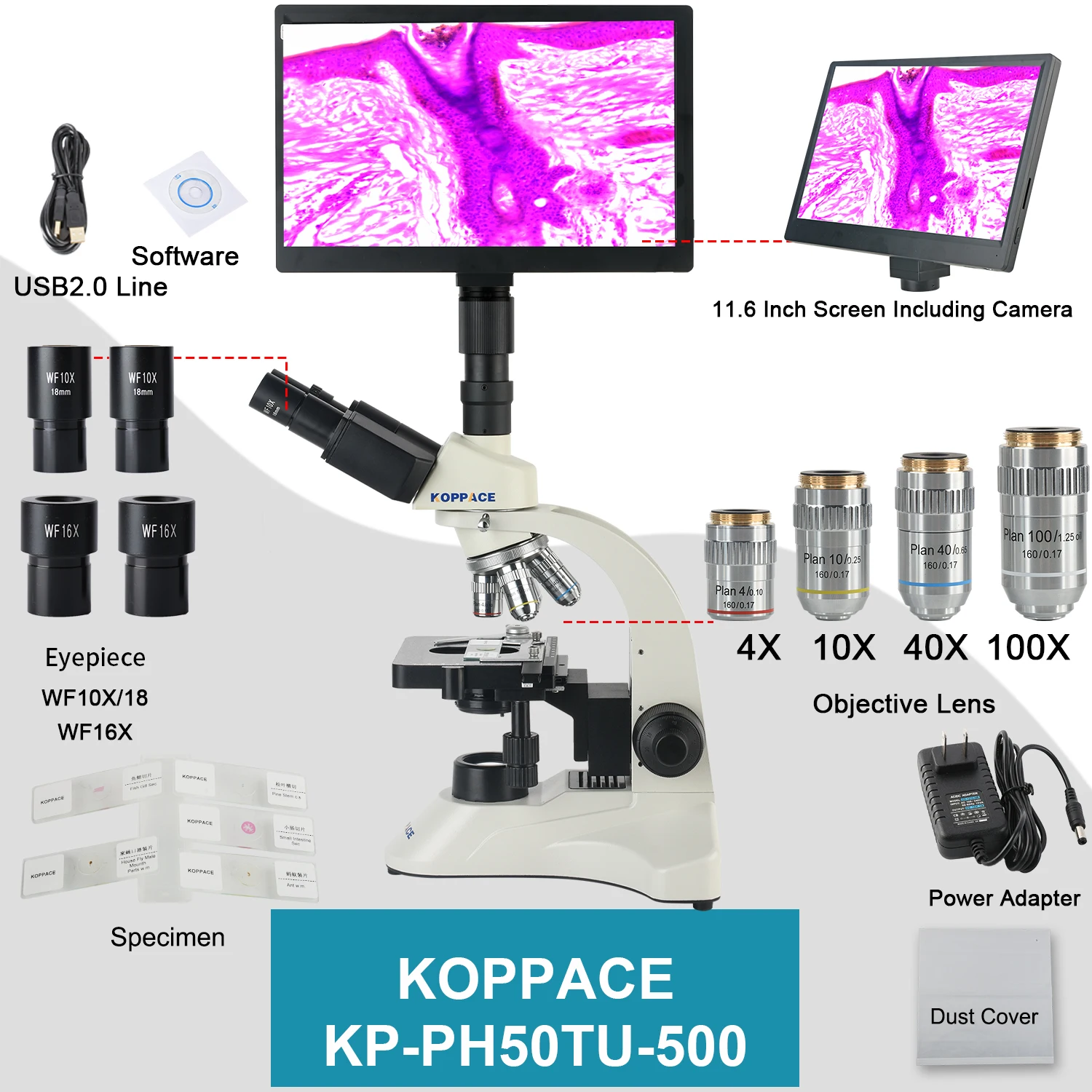 KOPPACE 40X-1600X Electronic Biology Laboratory Microscope 2 Million Pixels 11.6-inch HD Display