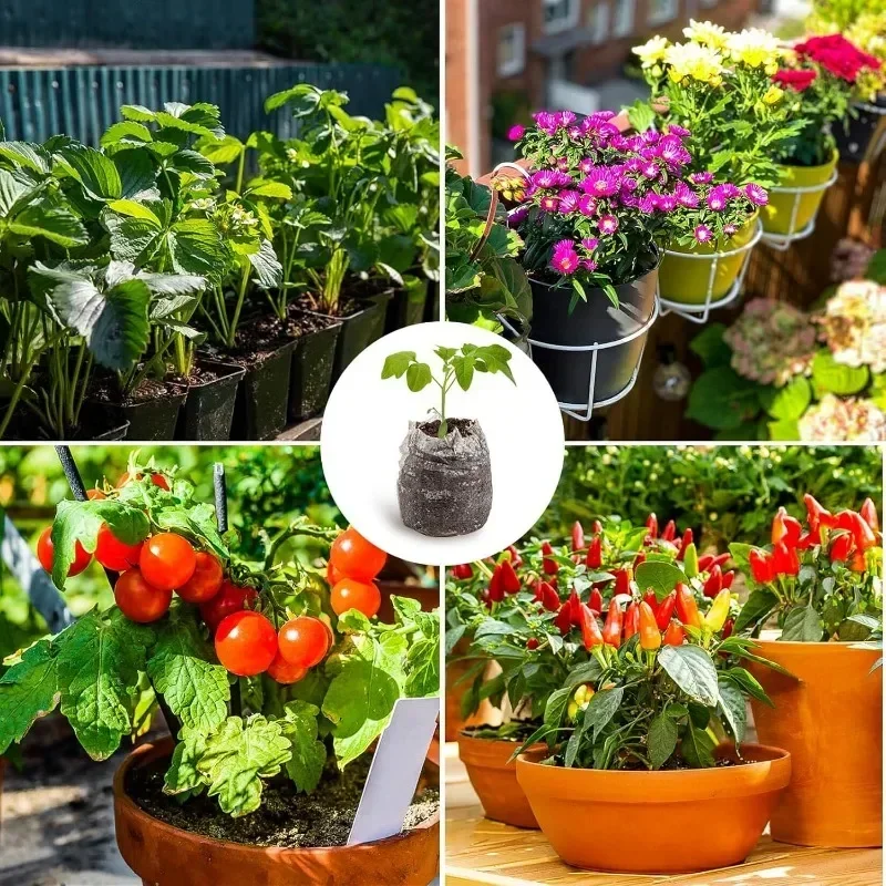 Granulés de Sol ComTIFS pour Plantation de Semis, Accessoire de Nuit pour Cadres de Démarrage, Cubes de Média, Bouchons de Plantes en Vrac