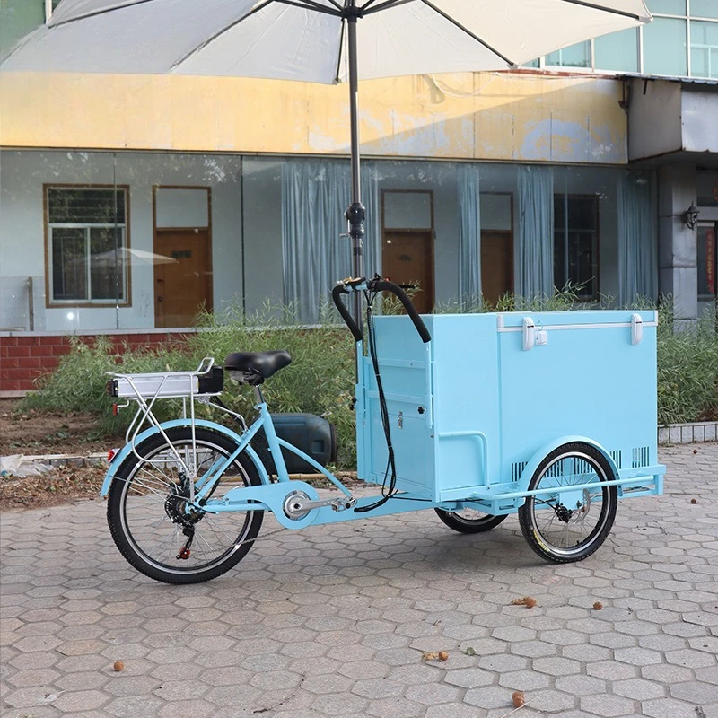 

Snowflake Cheese Multifunctional Reverse Donkey Tricycle Stall Car Scenic Night Market Snack Car Promotional Car