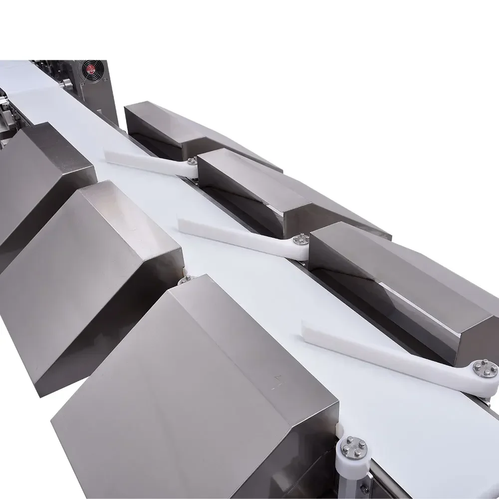 

Custom High Speed And High Precision Digital Sorting Weighing Scale Automatic Checkweigher Weight Sorter Machine For Frozen Fish