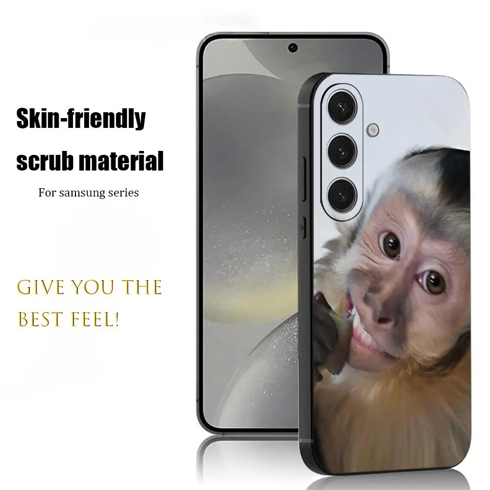 

Hot Funny Capuchin Monkey HD Phone Case For Samsung Galaxy S25 S24 S23 S22 S21 S20 Plus Ultra Note20 Soft Black