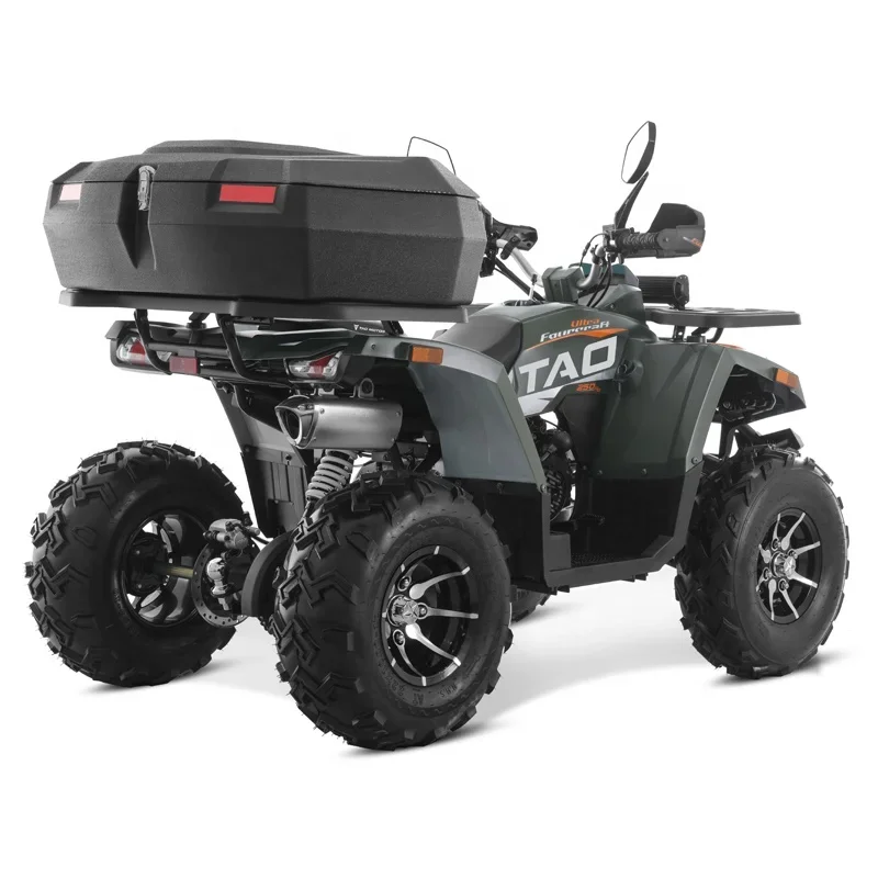 Tao Motor 2024 New side by sides 4x4 quad bike 250cc ATV with CE EPA ECE certificate