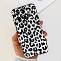 case-c60