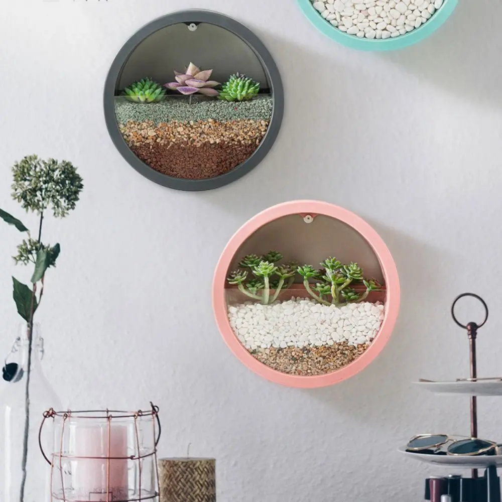 

Green Dill Wall Decoration Room Hanging Basket Wall-mounted Flowerpot Flower Pot Ornaments Plant Container Hydroponic Vase