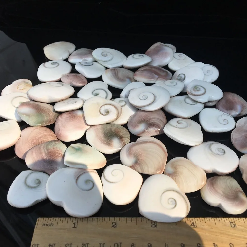 5pcs Natural Sun shell  Specimen Crystal Love Heart Reiki Shiva Eye