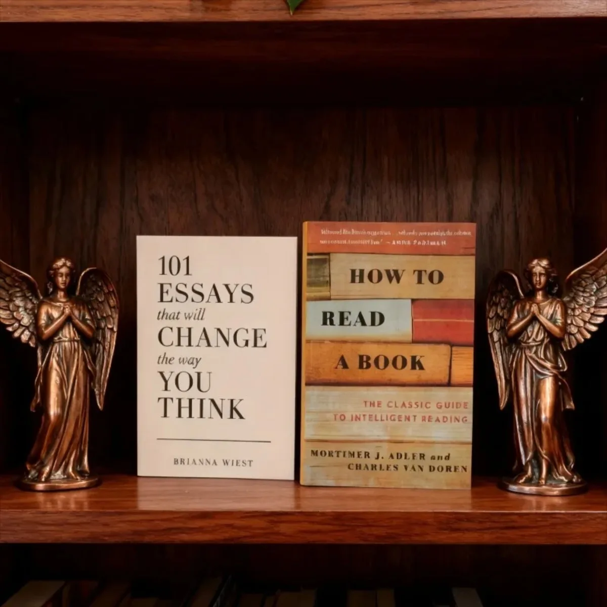 

《101 Essays That Will Change The Way You Think》+《How To Read A Book》Two Books Set - Thought Transformation & Deep Reading Method