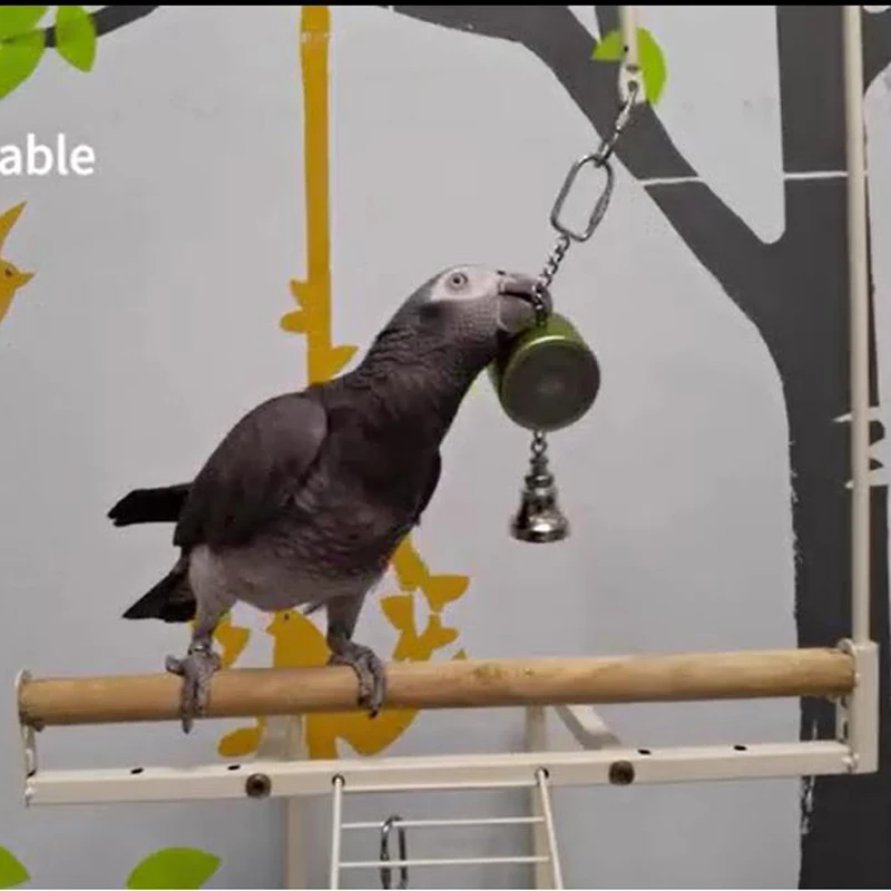 Entrenador parlante para loros y suministros interactivos de campana de voz, juguetes para pájaros, charol pendiente, última versión mejorada