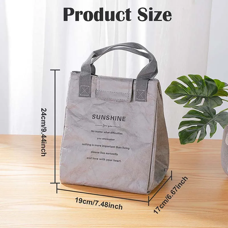 Dupont Kraft Paper Lunch Bag Insulated Reusable Pleated Tote Eco-Friendly Washable Waterproof Thermal Cooler for Work Picnic
