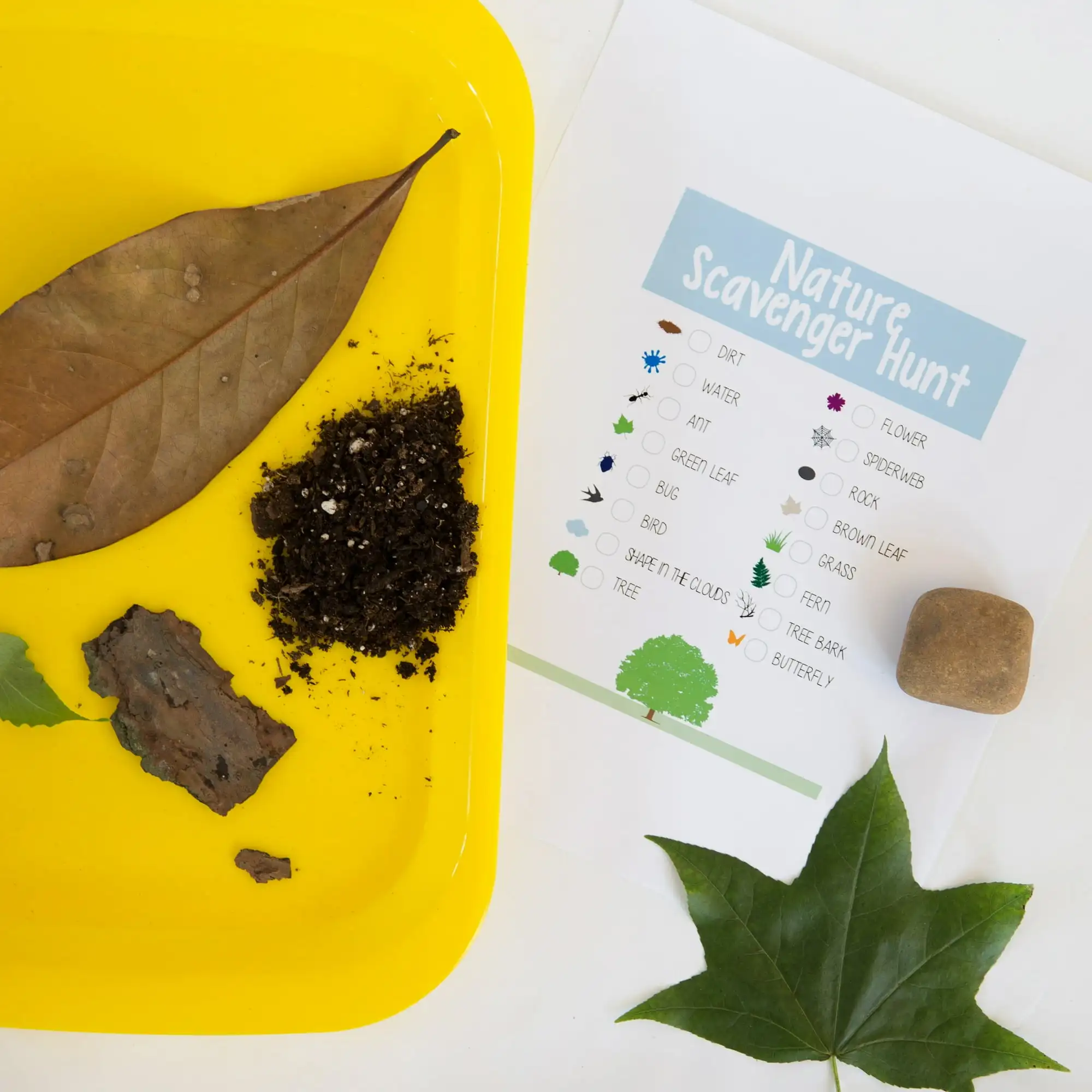 Elementree Sustainable Multipurpose Paper, 20 lb., 8.5" x 11", White, 2500 Sheets