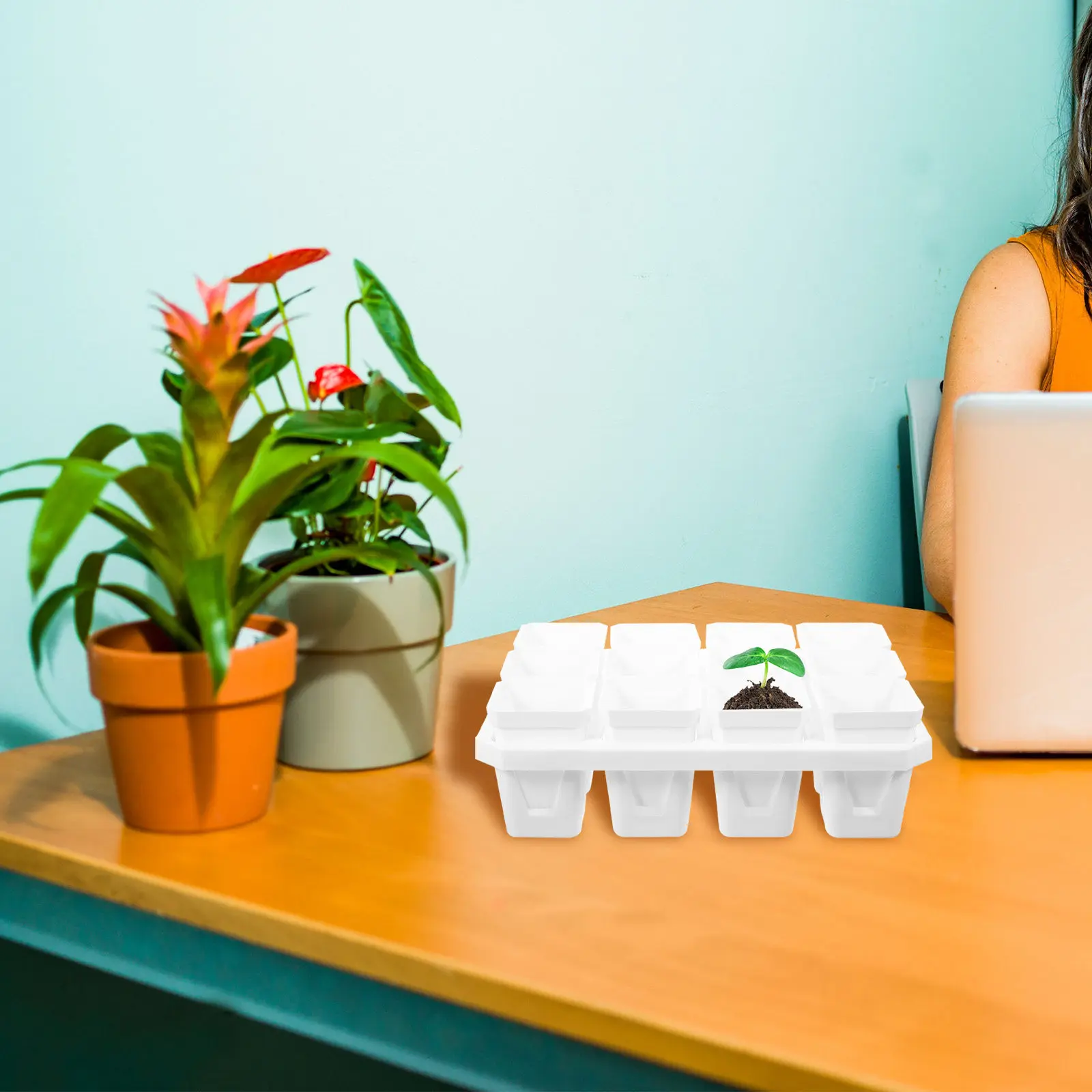 1Set Minimalist Square Nursery Pots Plastic Seed Starter Tray Drainage Holes Planter for Vegetable Tomato Seedlings Greenhouse