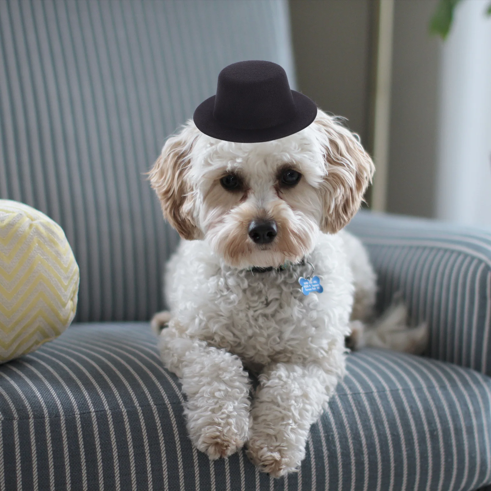 

6Pcs Handcraft Hat Blanks Felt Miniature Top Hats for DIY Holiday Decor Craft Replacement Caps Creative Wear-Resistant Tiny Hat