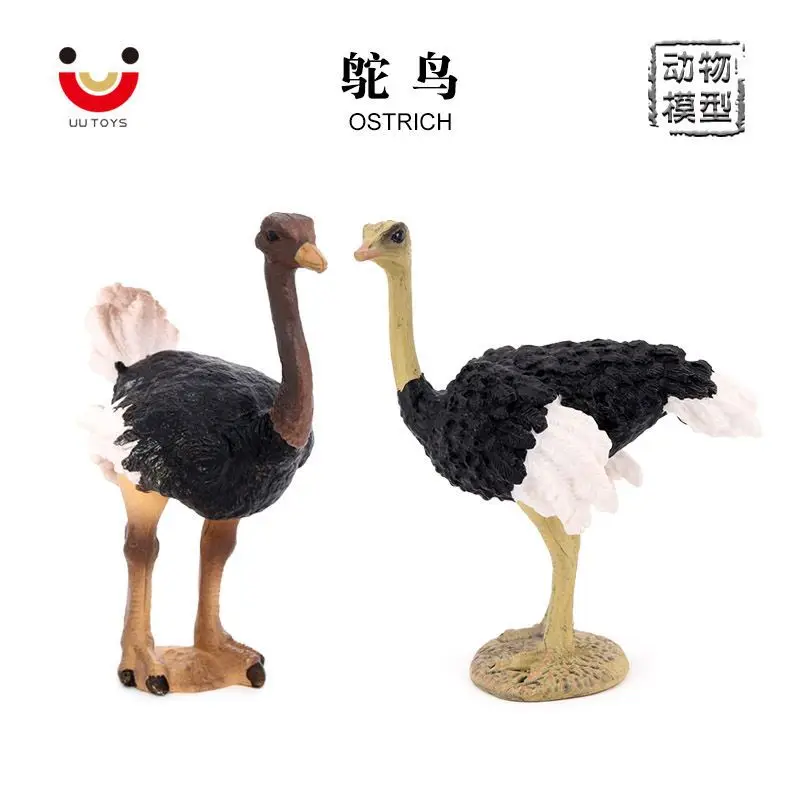 Solid simulation wildlife model bird animal toy ostrich African ostrich children's cognitive ornament figure