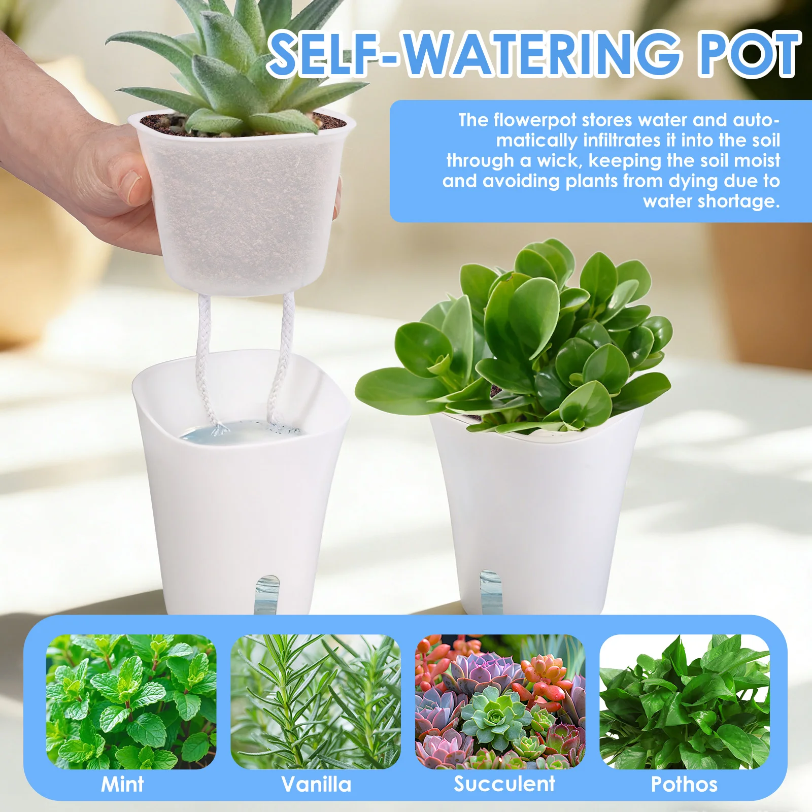 กระถางต้นไม้พลาสติกแบบรดน้ำเอง - Aloe Vera Pot บทวิจารณ์และราคา