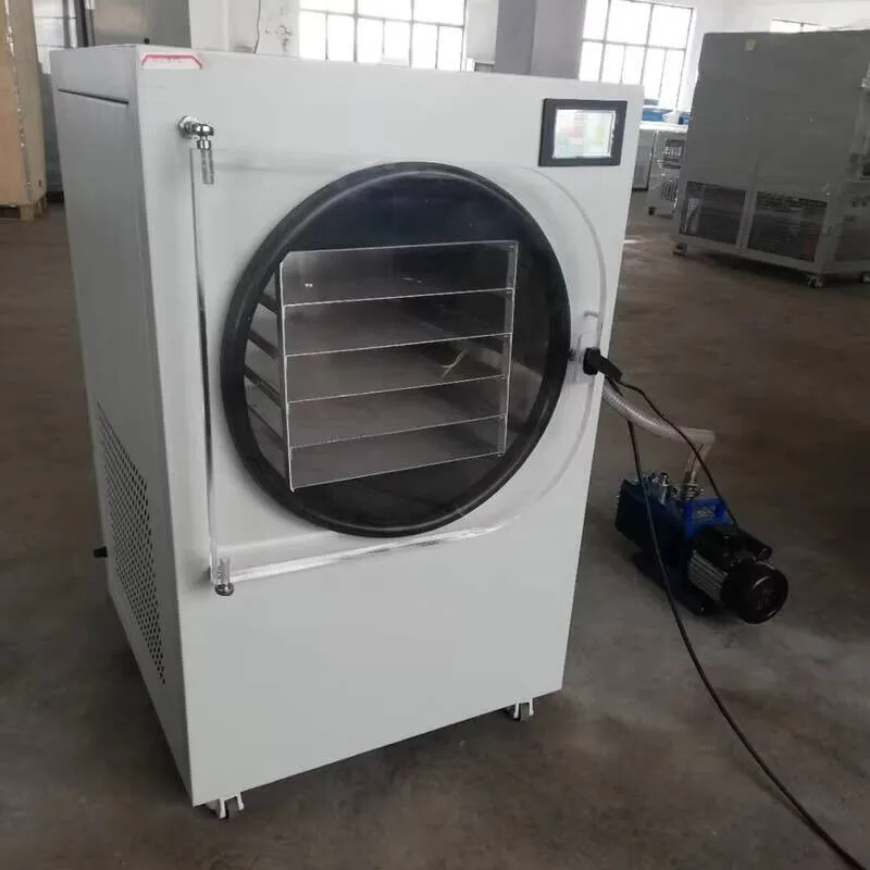 Mini liofilizador comercial para el hogar, 6Kg, 8Kg, 10Kg, bomba de aceite, liofilizador Hine de secado, precio para dulces, alimentos, frutas y verduras