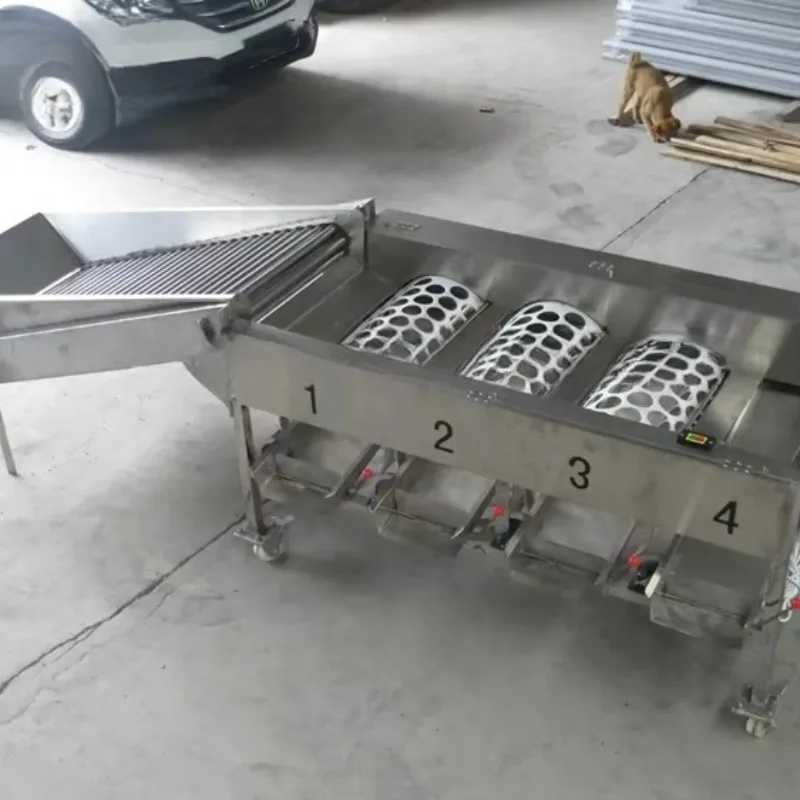Custom Orange Sorting Machine Fruit Grading Machine Dragon Fruit Sorting Machine