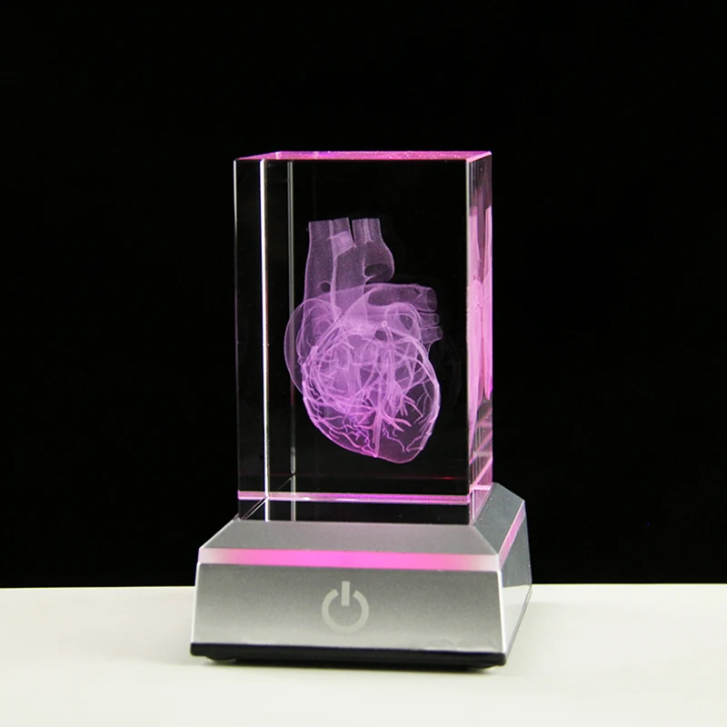 3D laser engraving crystal heart model intracardic surgical teaching props Medical gifts Hospital paperweights Human organs