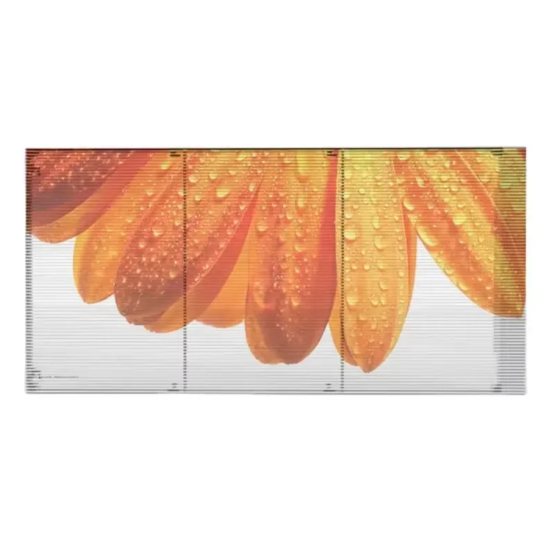 

Outdoor Transparent and Flexible Led Screen P3.91-7.82 Rental Flexible Led Transparent Film Screen