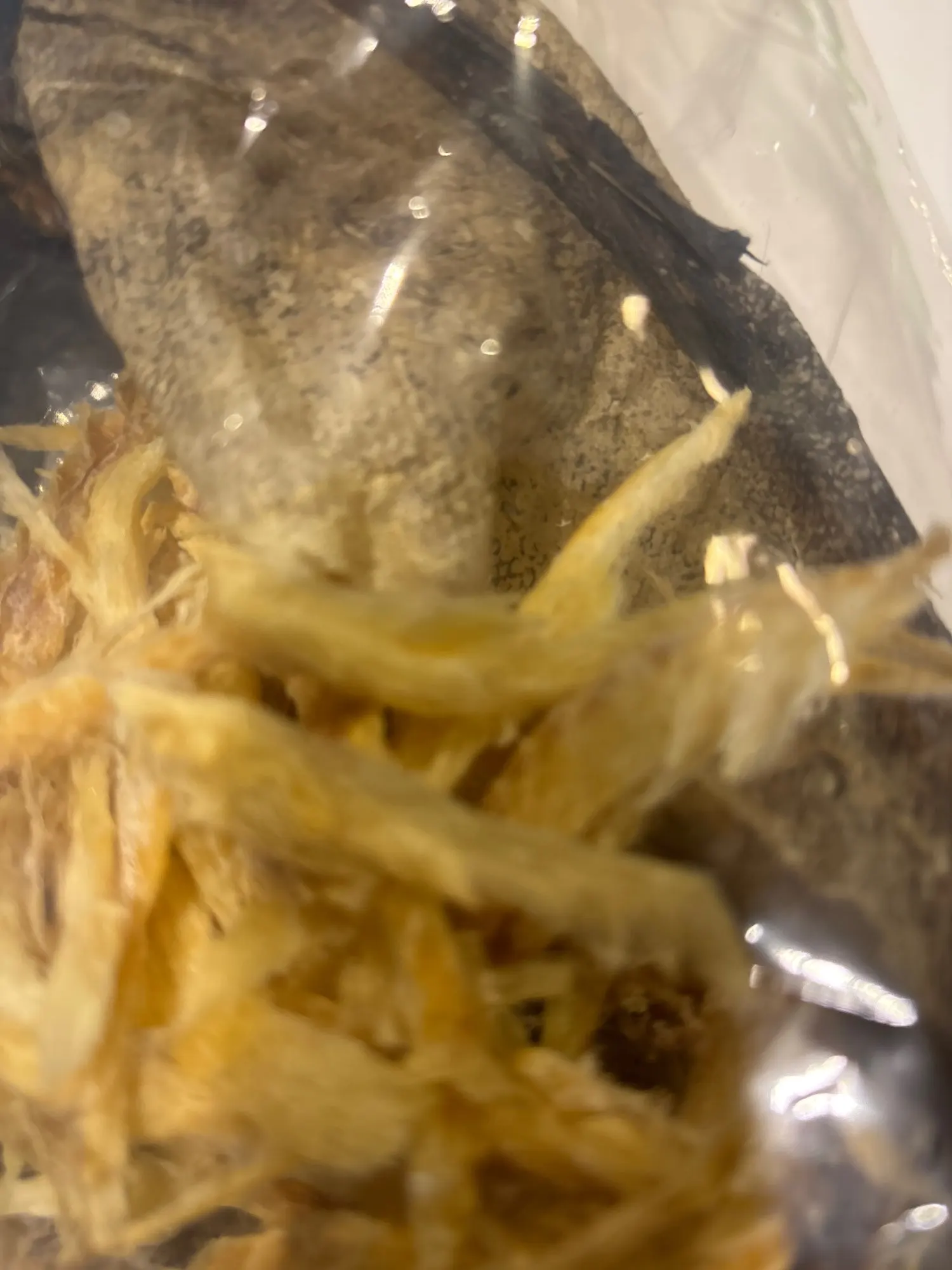 실물 포토 리뷰