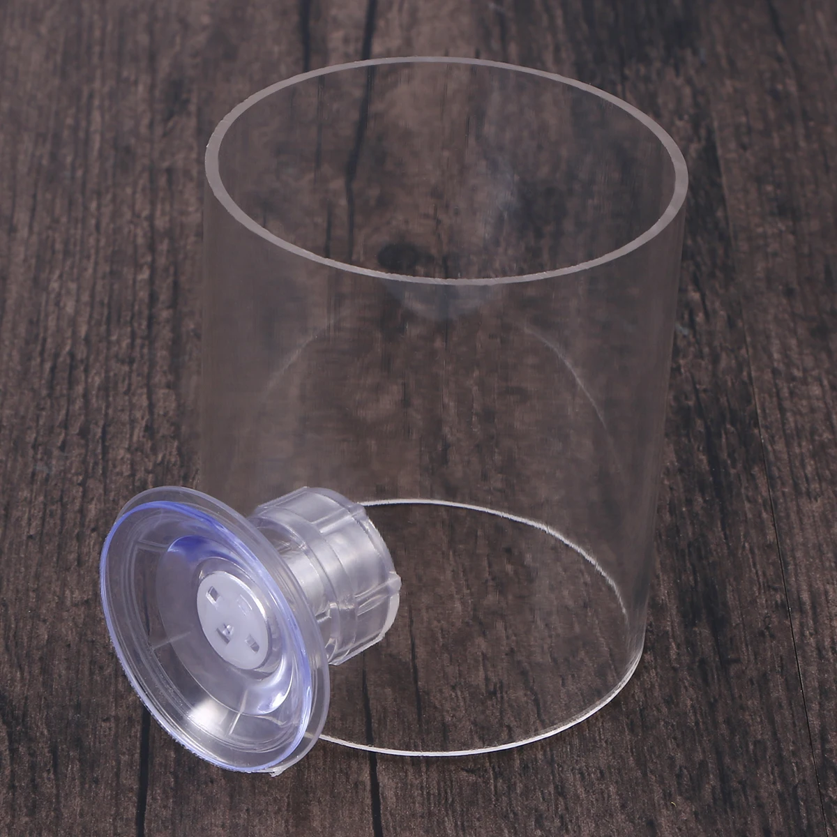

Fish Feeding Ring Aquarium Floating Feeder Tool Adjustable Water Level Buoyancy Circle For Flake Foods Prevent Scattering Size L