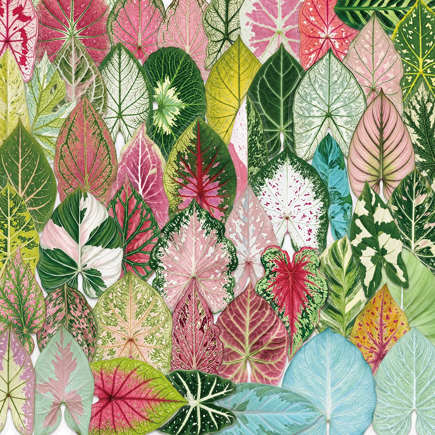 50 Pcs Cartoon Artistic Plant Stickers Transparent PET Waterproof Journal Supplies for Guitar Notebook Laptop Gift