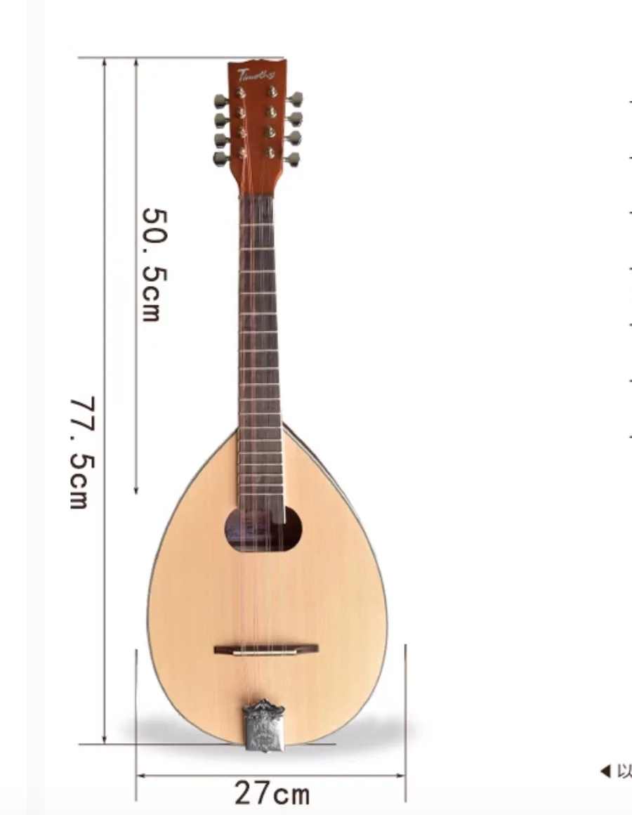 Alto mandolin western Tibetan stringed instruments