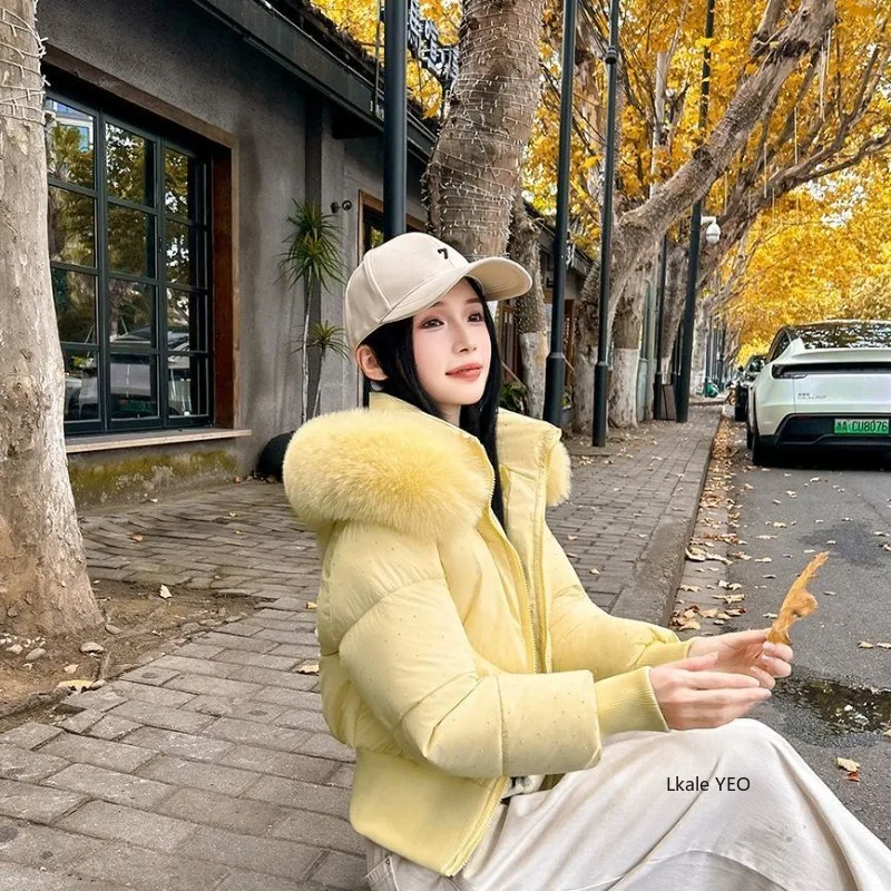 New Down Cotton Jacket 2026 Comfortable Casual Women's Winter Parka Ladies Coat Sense of Design Warm Fashion Female Jacket