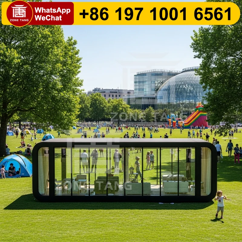 Luxury Modern Capsu… - image