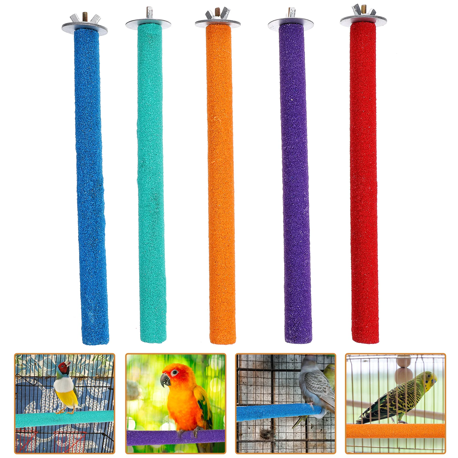 5 Pcs Bird Cage Accessories Parrot Frosted Standing Bar Claw Grinding Rods Play Wooden Perch