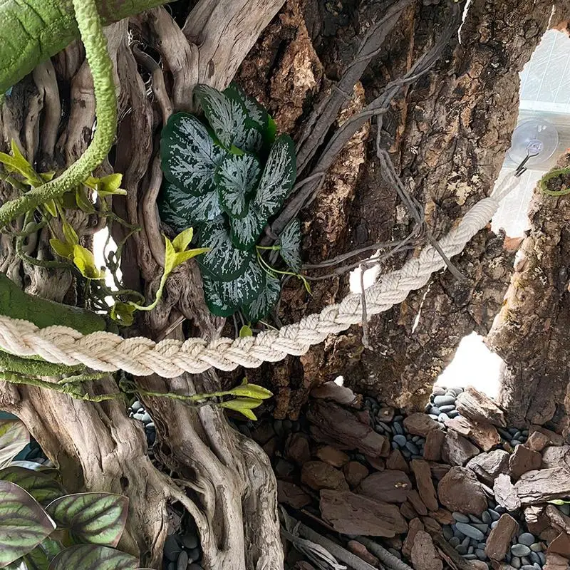 Hermit Crab Climbing Toys Hermit Crab Climbing Jute Rope Ladder Reptile Tank Terrarium Accessories Hermit Crab Climbing Jute