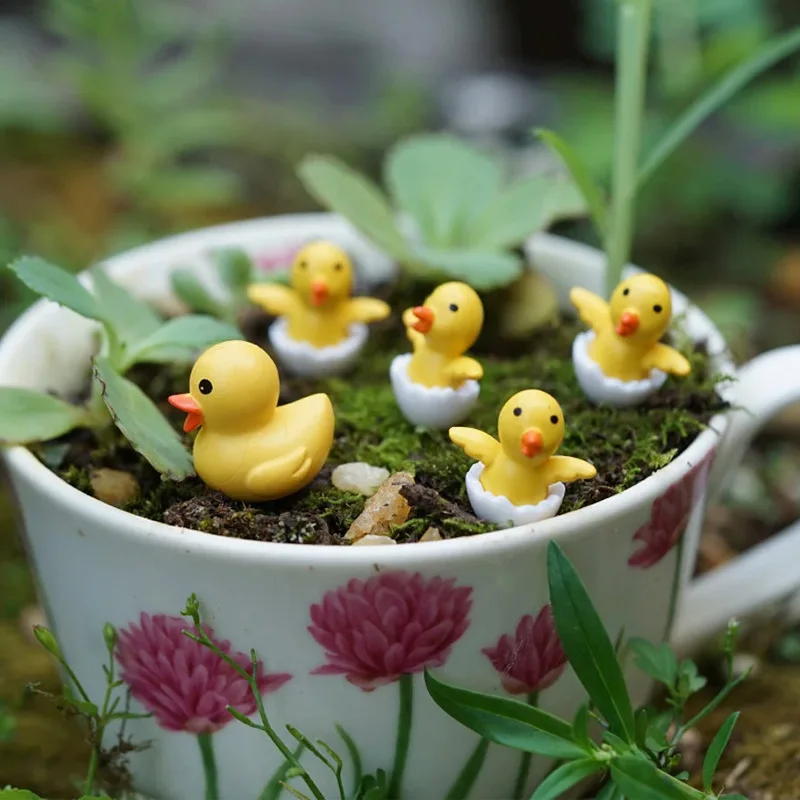 

Set of 5 Tiny Duck and Duckling Miniatures, Fairy Garden Supplies, Moss Micro Landscaping Terrarium Crafts DIY Decoration