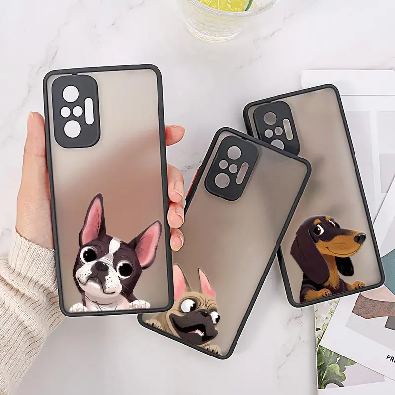 Boston Terrier Pug …