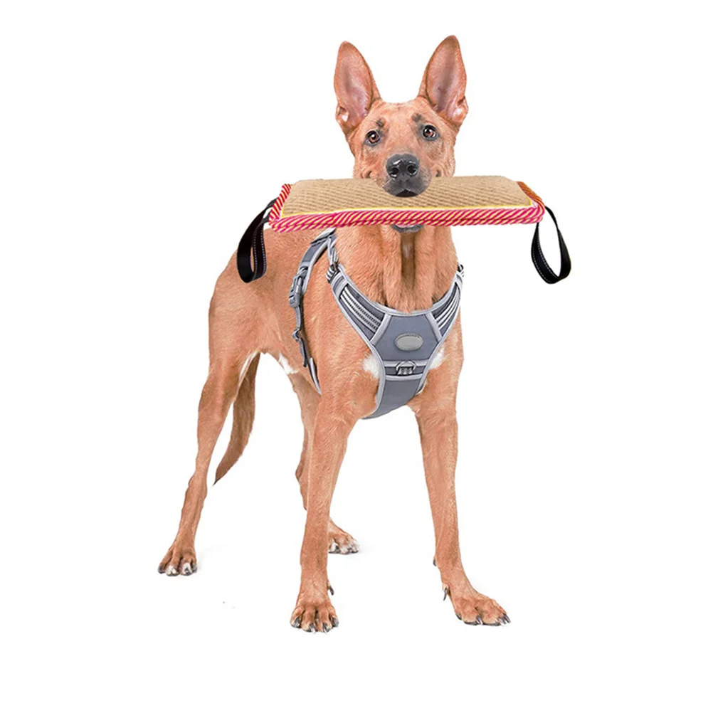 

Dog Chew Home Durable Puppy Teeth Grinding Tug Dog Training Interactive Training Bite Stick Outdoor Pet Molar Tool