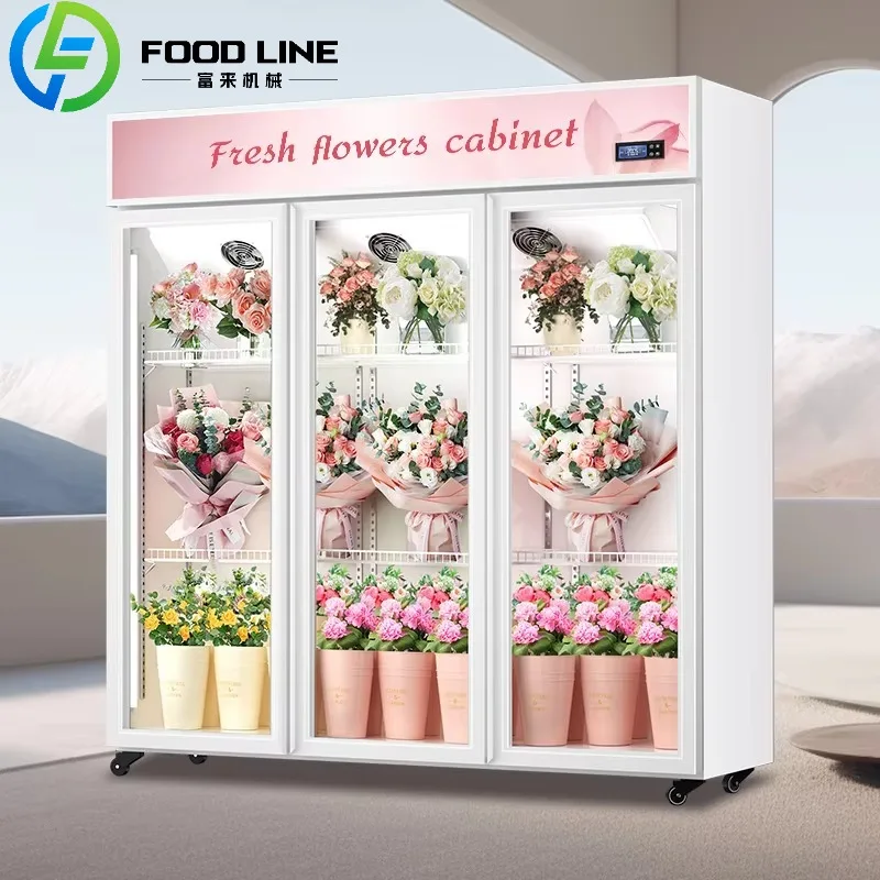 

FL Индивидуальный 2/3-дверный прозрачный холодильник для консервации цветов без мороз/дисплея для картофеля для магазина-коммерческого шкафа без сливов