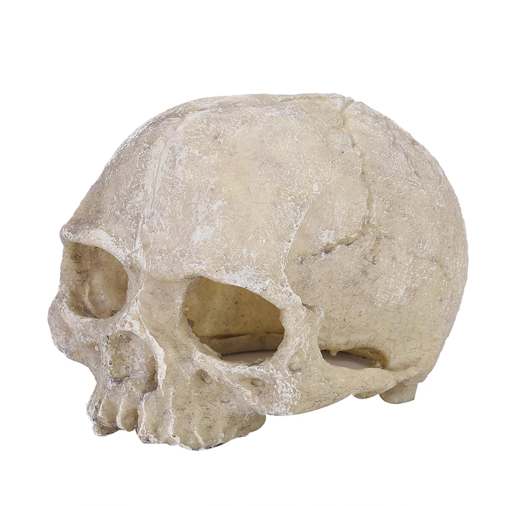 Resin Simulated Head Bone Skull Statue for Lizard Snake Spider Scorpion Cave Aquarium Fish Tank Landscape Decoration