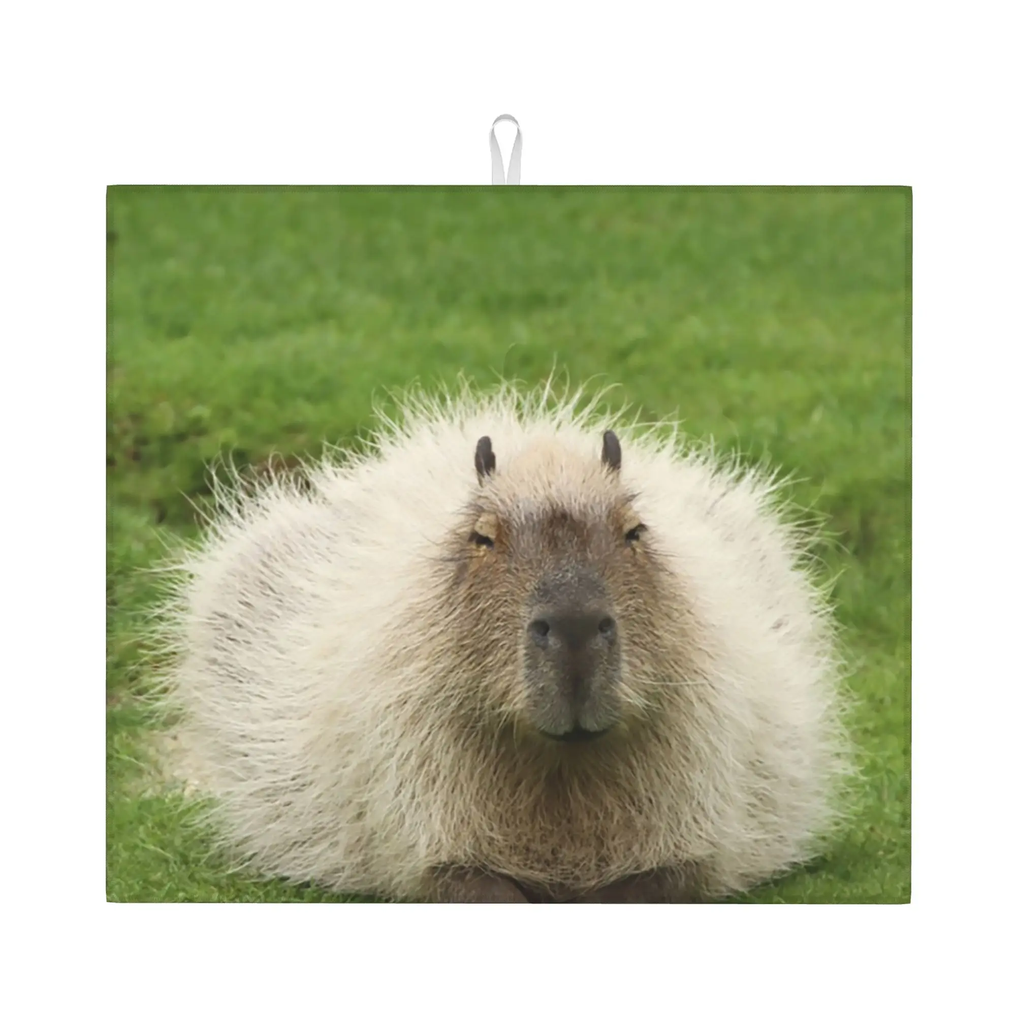 Drying Mat For Kitchen Animal Pet Capybaras Water Absorbent Waterproof Reusable Animal Pet On Slip Kitchen Counter Protector Mat